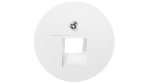 Berker/R.1/R.3 Płytka czołowa do gniazda teleinformatycznego pojedynczego RJ11/RJ12/RJ45 biała 14072089