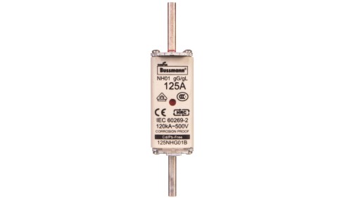 Wkładka bezpiecznikowa NH1 125A gL/gG 500V 125NHG01B