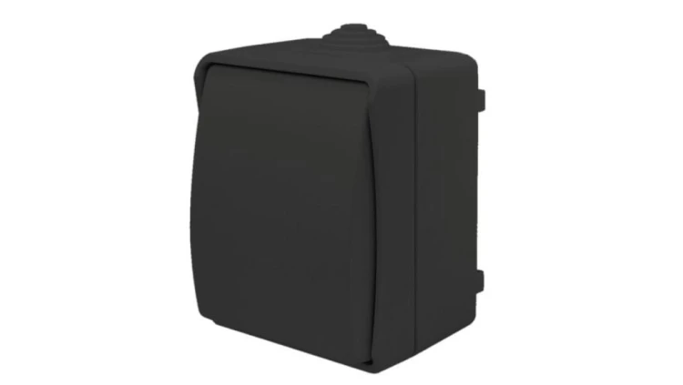 Łącznik świecznikowy natynkowy Aqua Plus IP54 antracyt / czarny / 40332