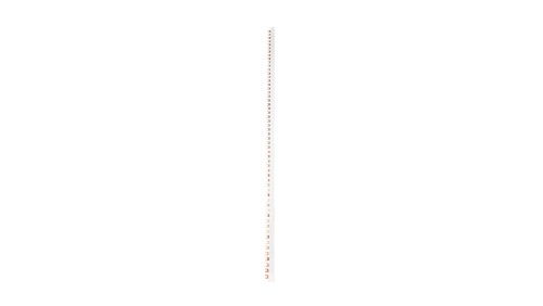 Szyna łączeniowa widełkowa 4P 100A 16mm2 (56 mod.) IZ16/4F/56 002921070