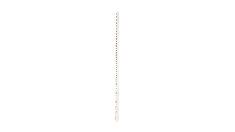 Szyna łączeniowa widełkowa 4P 100A 16mm2 (56 mod.) IZ16/4F/56 002921070