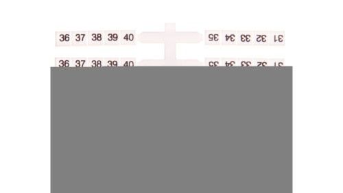 Oznacznik elastyczny do złączek szynowych EO3 /31-40/ 20x10szt. 003901758