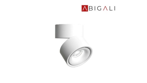 Abigali Oprawa natynkowa CRI90 20 12W WW, ABIGALI-MZTD-W-12-20WW